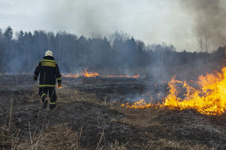 Image of wildefire disaster.